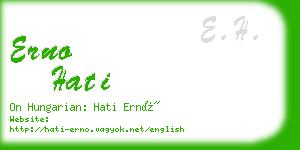 erno hati business card